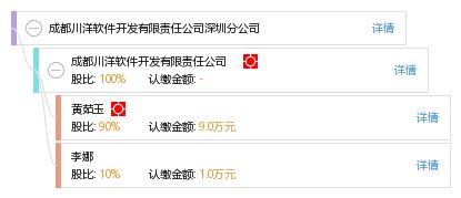 成都川洋软件开发有限责任公司深圳分公司 深圳软件开发领域的匠心筑梦者